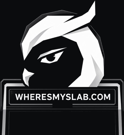 WHERESMYSLAB.COM